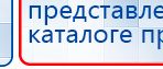 СКЭНАР-1-НТ (исполнение 02.1) Скэнар Про Плюс купить в Майкопе, Аппараты Скэнар купить в Майкопе, Медицинский интернет магазин - denaskardio.ru